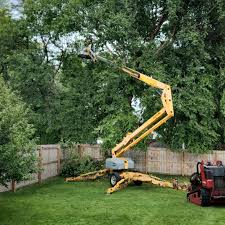 Best Artificial Turf Installation  in River Road, WA